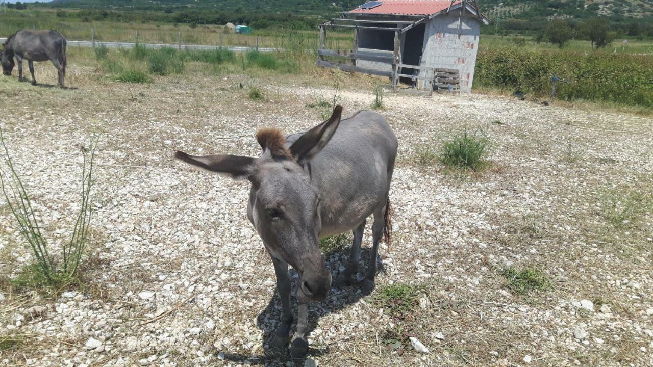 Apartment D & N Kaštela Eksteriør billede